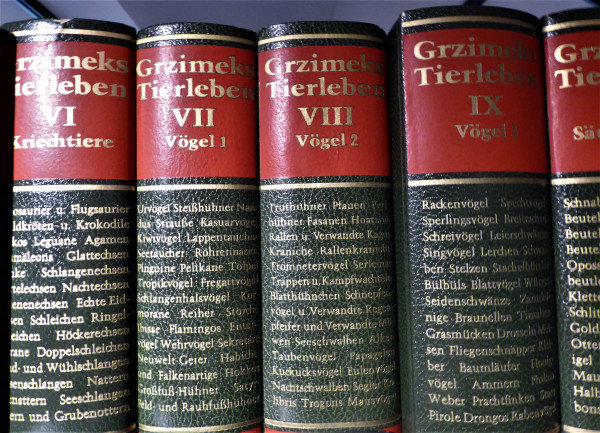 Grzimeks Tierleben Kindelr Verlag 1971