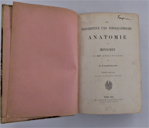 Descriptive und topographische Anatomie