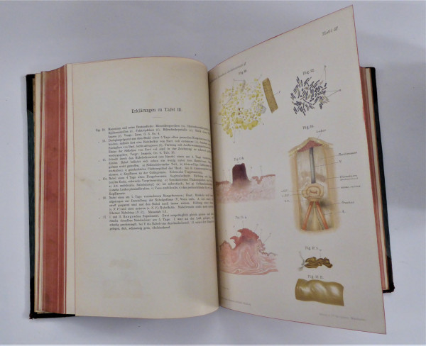 Handbuch der Geburtshülfe 1904