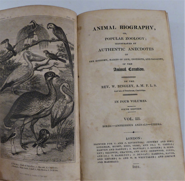 Animal biography and popular zoology